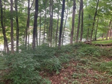 Lot on Beautiful Barren River Lake in Allen County, KY - photo 5