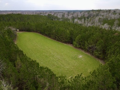 (private lake, pond, coastal) Acreage For Sale in Coffeeville Alabama