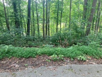 Lot on Beautiful Barren River Lake in Allen County, KY - photo 8