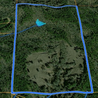 A remarkable 80 acre recreational tract tucked away in Taylor - photo 2