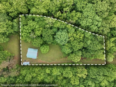 Peaceful Private Setting on 2.89 Acres - photo 41