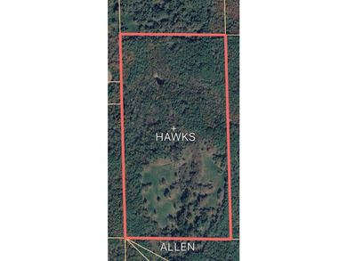 A remarkable 80 acre recreational tract tucked away in Taylor - photo 9