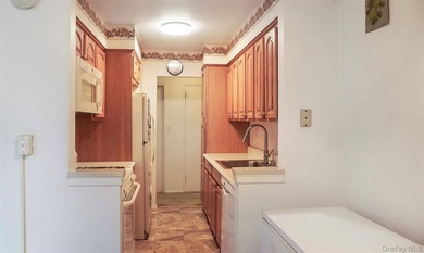 Welcome to McLean Towers at 385 McLean Avenue, Unit 3B, Yonkers - photo 11