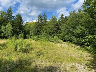Lake Lot For Sale in Cathance Twp, Maine