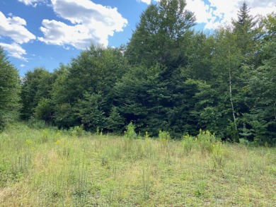 Lake Lot For Sale in Cathance Twp, Maine