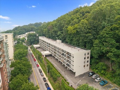 If you've always dreamed of Hudson River living but thought - photo 38