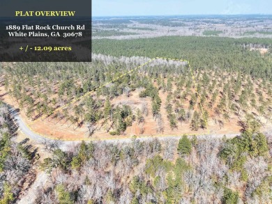 Lake Lot For Sale in White Plains, Georgia