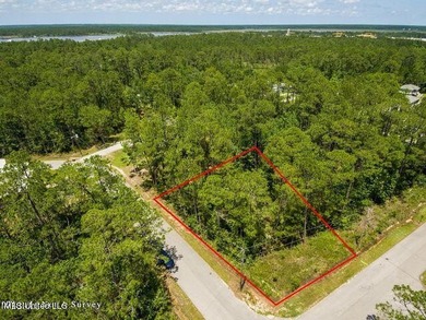 Large Corner Building Site in Timber Ridge. Located in an AE - photo 4