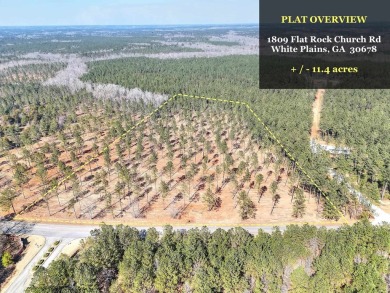 Lake Lot For Sale in White Plains, Georgia
