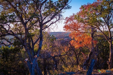 This lot offers an excellent rear view of the Guadalupe River - photo 4