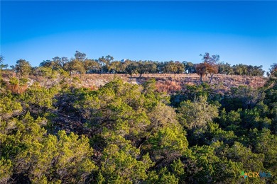 This lot offers an excellent rear view of the Guadalupe River - photo 5