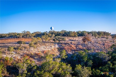 This lot offers an excellent rear view of the Guadalupe River - photo 6
