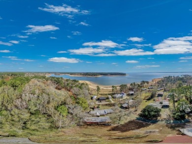 Sam Rayburn Lakefront Home - photo 30