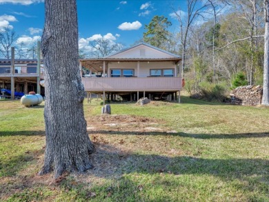 Sam Rayburn Lakefront Home - photo 23