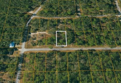 Bonable Lake Lot For Sale in Dunnellon Florida