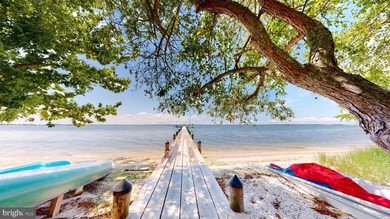 Wilderness Estate- REVISED OFFERING INCLUDES 5 PARCELS 6.27.25- - photo 49