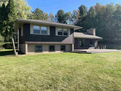 Lake Home For Sale in Iron Mountain, Michigan