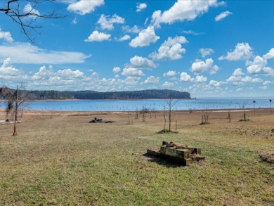 Sam Rayburn Lakefront Home - photo 24