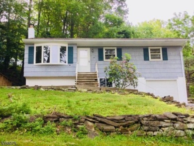 Lake Home For Sale in Green Twp., New Jersey