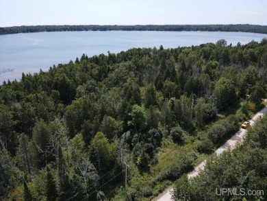 Gulliver Lake Acreage For Sale in Gulliver Michigan