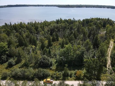 This large parcel sits on the north shore of Gulliver Lake and - photo 2