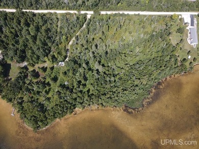 This large parcel sits on the north shore of Gulliver Lake and - photo 4