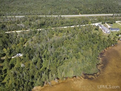 This large parcel sits on the north shore of Gulliver Lake and - photo 5