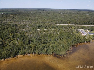 This large parcel sits on the north shore of Gulliver Lake and - photo 6