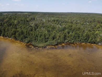 This large parcel sits on the north shore of Gulliver Lake and - photo 7