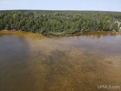 This large parcel sits on the north shore of Gulliver Lake and - photo 8