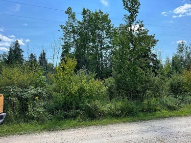 This large parcel sits on the north shore of Gulliver Lake and - photo 9