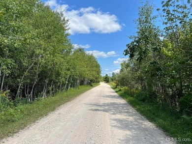This large parcel sits on the north shore of Gulliver Lake and - photo 10