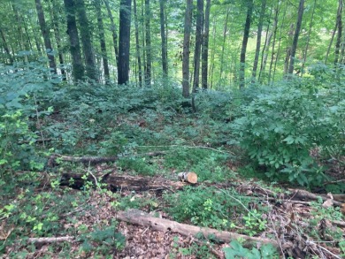 Lot on Beautiful Barren River Lake in Allen County, KY - photo 6