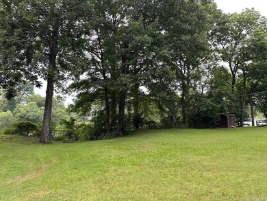 Lot 13 of Little Dunham subdivision has an excellent level - photo 11