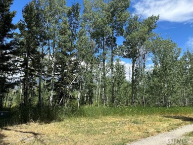 Henrys Lake Lot For Sale in Island Park Idaho