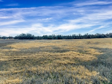 Build Your Dream Home on Over 2 Acres in Vista Oaks Estates - photo 5