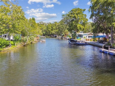 A once-in-a-lifetime chance to own a thriving waterfront - photo 40