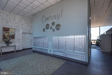 Penthouse Oceanfront Condominium with Breathtaking Ocean & Bay - photo 44