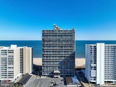 Penthouse Oceanfront Condominium with Breathtaking Ocean & Bay - photo 49