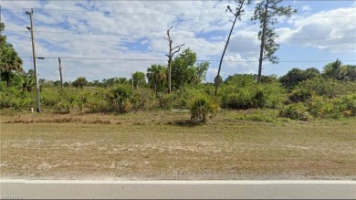 Lehigh Acres Area Lot For Sale in Lehigh Acres Florida