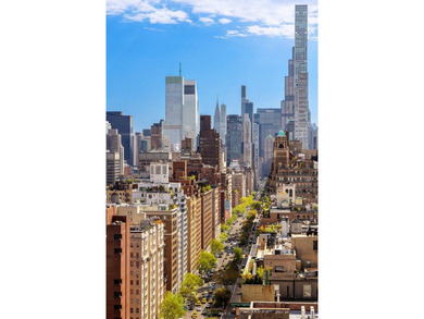 900 Park Ave, 25CD is a truly one of a kind. Fifty feet of - photo 14