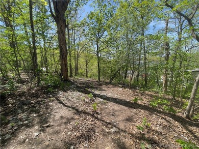 Lake views, three lots, and opportunity, this is the kind of - photo 18