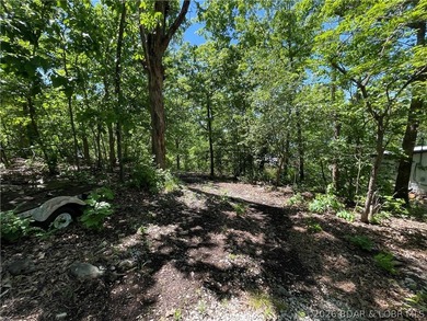 Lake views, three lots, and opportunity, this is the kind of - photo 20
