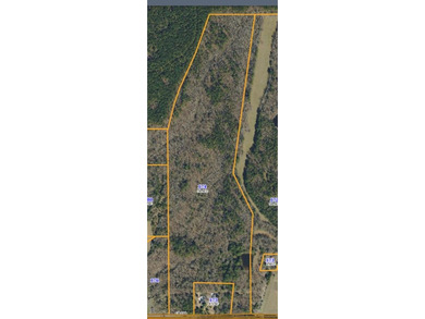 (private lake, pond, coastal) Acreage For Sale in Oxford Mississippi