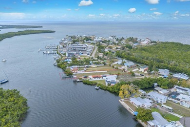South Branch Manatee River  Lot For Sale in Ruskin Florida