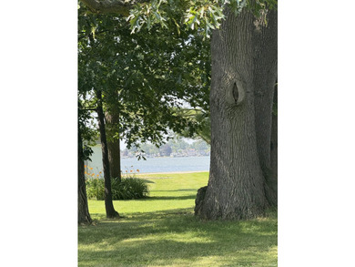 Welcome to your own private slice of paradise at 2309 Meiser - photo 11