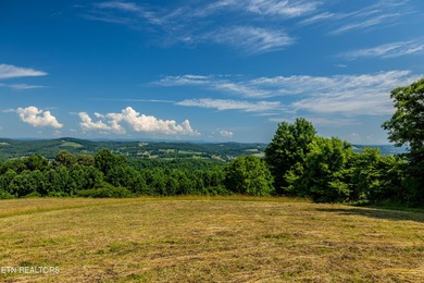 Boasting stunning views of Norris Lake and gorgeous East - photo 3