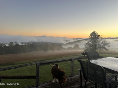 Boasting stunning views of Norris Lake and gorgeous East - photo 7