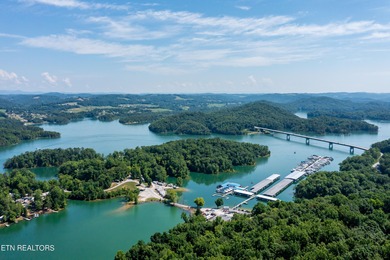 Boasting stunning views of Norris Lake and gorgeous East - photo 8