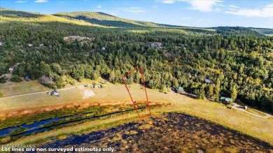 Stoneman Lake Lot For Sale in Flagstaff Arizona